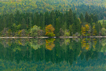 Lake Bohinj, Triglav National Park, Julian Alps, Municipality of Bohinj, Slovenia, Europe