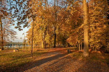 Autumn view of the park on the Oder in Opole