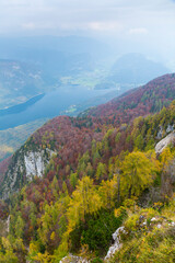 Naklejka premium Cable car from Lake Bohinj to a height of 1537 m, Triglav National Park, Julian Alps, Municipality of Bohinj, Slovenia, Europe