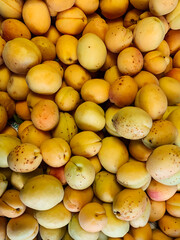 lots of ripe sweet apricot fruit for cooking as a background