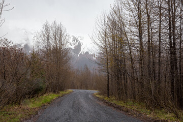 Obraz na płótnie Canvas Forest road in mountains of Alaska