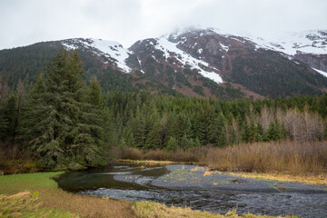 Fototapeta na wymiar river in forest next to snowy mountains in Alaska