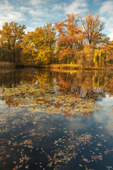 Bolko Island in Opole during the autumn morning.