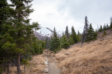 Fototapeta na wymiar Hiking trail in Chugach State Park, Alaska