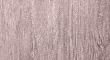 Fototapeta premium Wooden green textured background in the trendy set sail champagne color. copy space, color trend, board surface