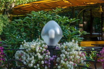 Street lamp on hedge of flowers. Selective focus, blurred background