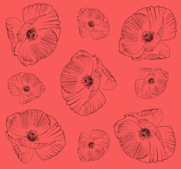 Poppies flowers pattern on pink background for fabric, wrapping paper and other design