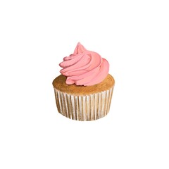 Illustration of a cupcake with pink frosting isolated on a white background
