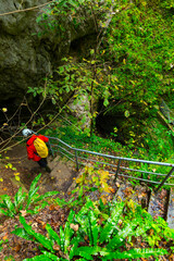 Pivka cave, Postojna Area, Green Karst, Slovenia, Europe