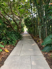 Garden path