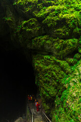 Pivka cave, Postojna Area, Green Karst, Slovenia, Europe