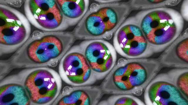 Kaleidoscopic Eyeballs Multicolored Spectrum. Group of multicolored eyeballs opened forming a kaleidoscopic effect