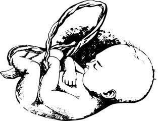 baby in the womb black and white sketchy illustration. sleeping baby holding an umbilical cord
