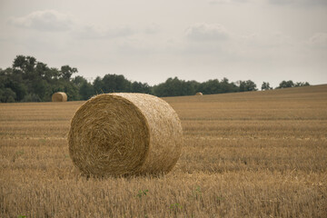 Strohballen auf dem Feld