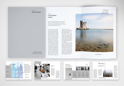 Elegant and Clean Annual Report with Silver Accents