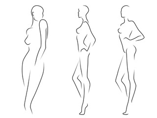 Outline of the three elegant women