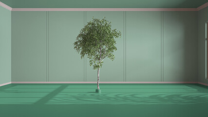 Imaginary fictional architecture, interior design of hall, classic empty room, open space, turquoise walls with trim molding in the background and birch tree in the middle of the room