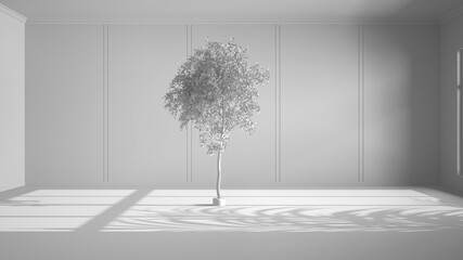 Total white project, imaginary fictional architecture, interior design, empty room, open space, walls with trim molding in the background and birch tree in the middle of the room