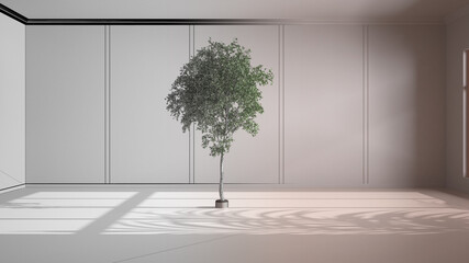 Architect interior designer concept: hand drawing a design interior project while the space becomes real, imaginary architecture, empty open space, tree in the middle of the room