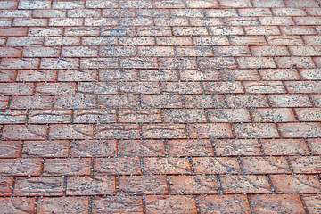 Sprinkled rock salt crystal on paving slabs to avoid slippery surface. Preventing injuries on slippery roads. Salt on sidewalk in winter season spreading for melting ice and snow.