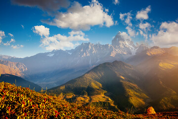 Fototapety na wymiar - Fototapeta24.pl