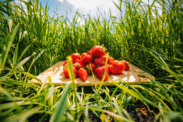 Fototapety na wymiar - Fototapeta24.pl