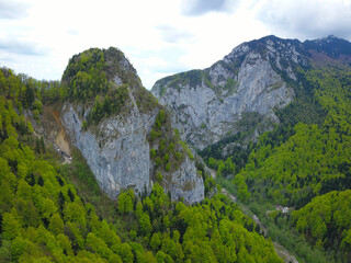 Naklejka premium Aerial drone view over Cheia Valley and Gorges. High steep cliffs are guarding the canyon's entrance. A tunnel dig through the mountain allowed the presence of a gravel road.