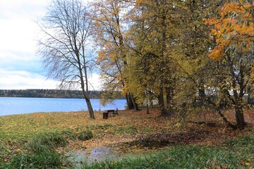 Trees with yellowed leaves on the river bank on a cloudy autumn day