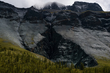 Fototapeta premium gray rocks, green forest and snow-capped mountains on the background-Altai