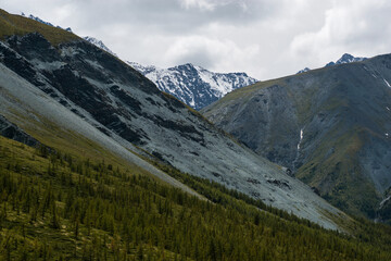 gray rocks, green forest and snow-capped mountains on the background-Altai