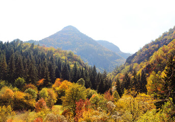 The valley of Tedzami river in autumn