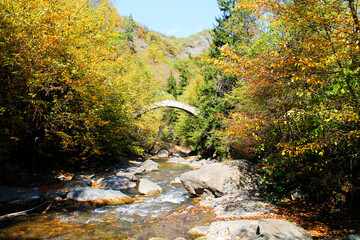 The river Tedzami in autumn and the bridge of Rkoni