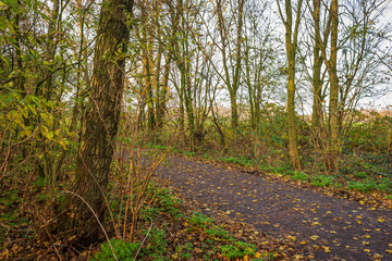 Obraz premium Polderpark Cronesteyn large park in the city of Leiden in the Dutch province of South Holland