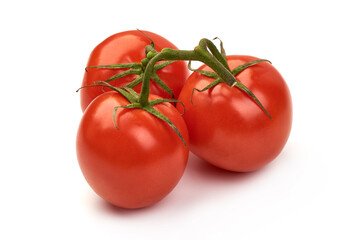 Tomato branch. Ripe fresh tomatoes, close-up, isolated on white background