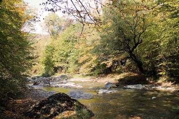The river Tedzami 