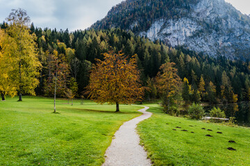 Fototapeta na wymiar schöner Herbstweg am Gleinkersee Oberösterreich, der Weg ist das Ziel