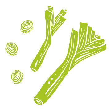 Leek. Colorful sketch of vegetables isolated on white background. Doodle hand drawn vegetables. Vector illustration