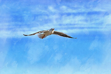 Seagull at blue sky colorful painting looks like picture.