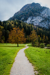 Fototapeta na wymiar Weg um den Gleinkersee in Oberösterreich im Herbst - eine schöne Wanderung um den See im Herbst