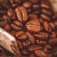 Fresh roasted coffee beans in wooden scoop close-up, selective focus. Breakfast and coffee break concept.