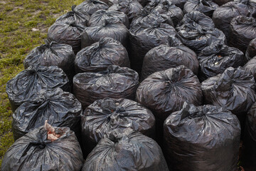 Fototapeta na wymiar Black plastic garbage bags full of autumn leaves.