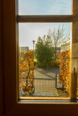 View over a road and trees through the window of a door..