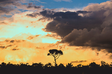brazilian cerrado sunset with clouds