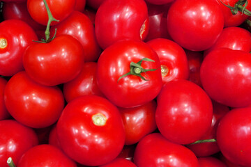 A pile of vegetables on a cutting board