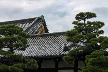 Fototapeta na wymiar japanese roof and trees