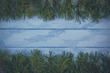 Christmas or New Year mock up: pine branches on the blue boards