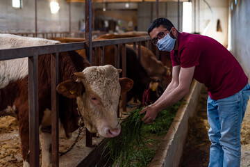Young farmer using mask against corona virus. Agriculture industry, farming, people and animal...