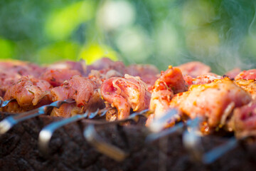 Close up view of roasted meat prepairing on barbeque.