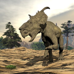Fototapeta premium Pachyrhinosaurus dinosaur roaring in a prehistoric landscape - 3D render