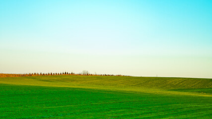 green field against blue sky